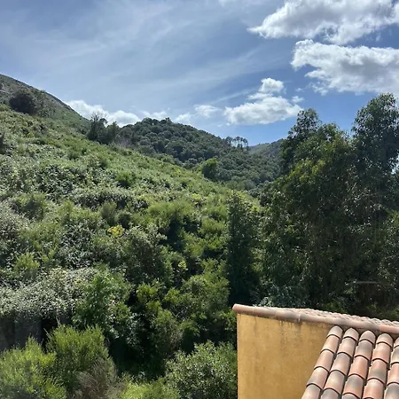 Apartament Odette Calenzana